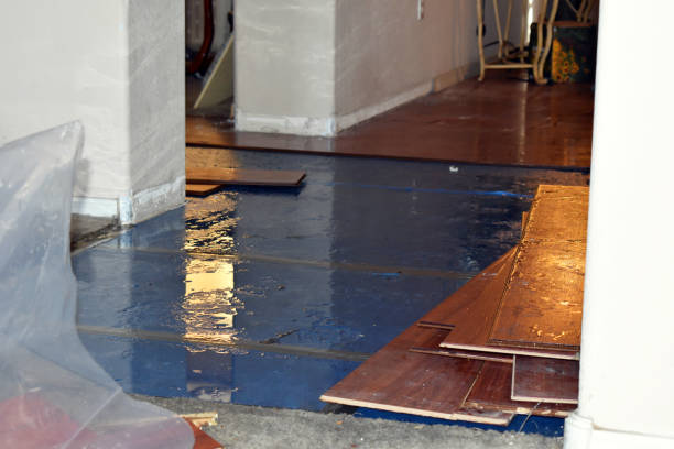 Professional Basement Flood Cleanup technician working in Marine City, MI